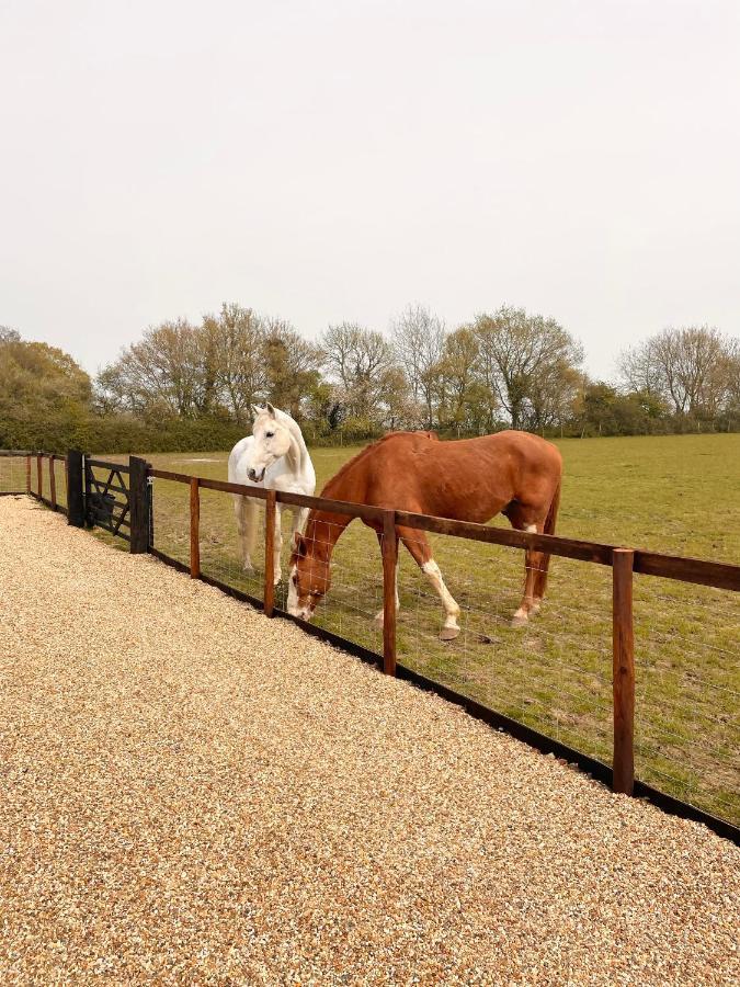 The Hayloft Villa Gestingthorpe Exterior foto